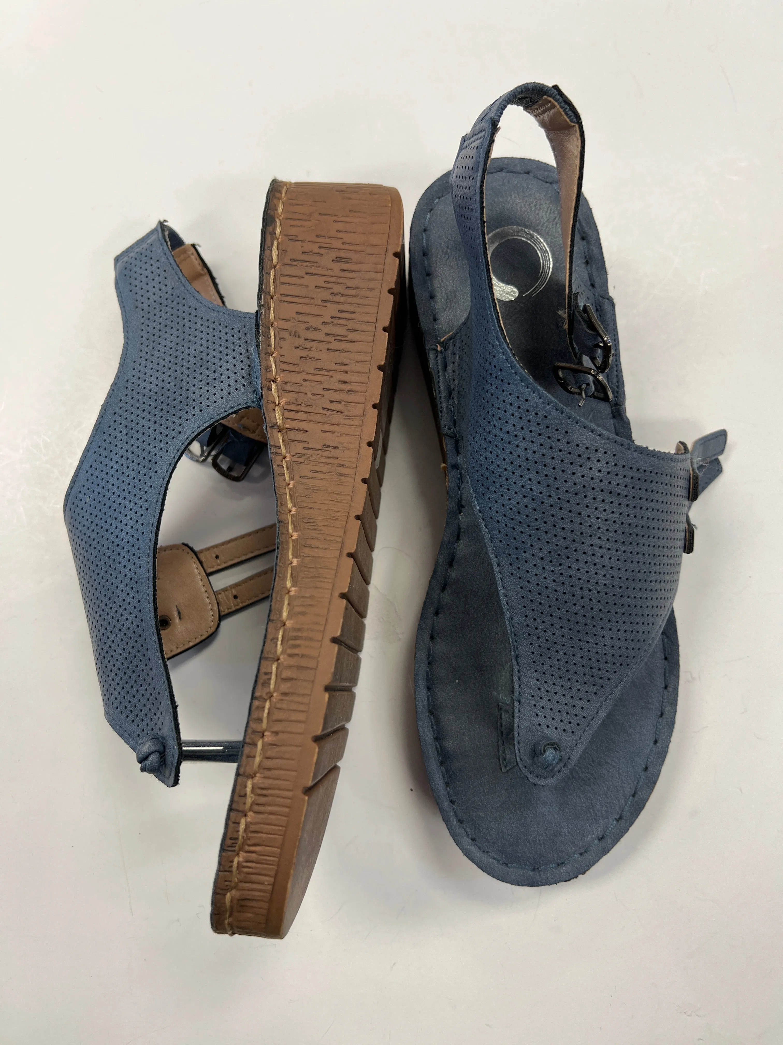 Blue Sandals Heels Platform Clothes Mentor, Size 5.5