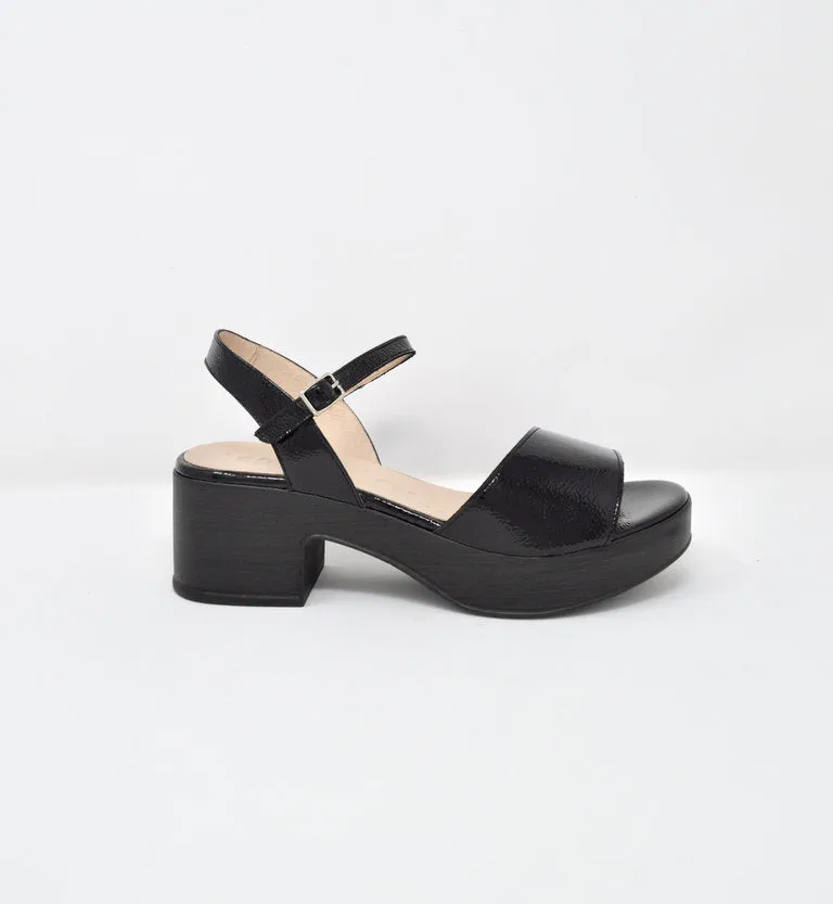 WONDERS SANDAL - D8802